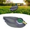 Mallard Duck Decoy, Plastic Floating Duck Decoy Simulation Hunting Duck