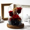 TEATSIGHT Preserved Flower Arrangement, Wrapped Glass Pot, 5 Wheels (Rose,