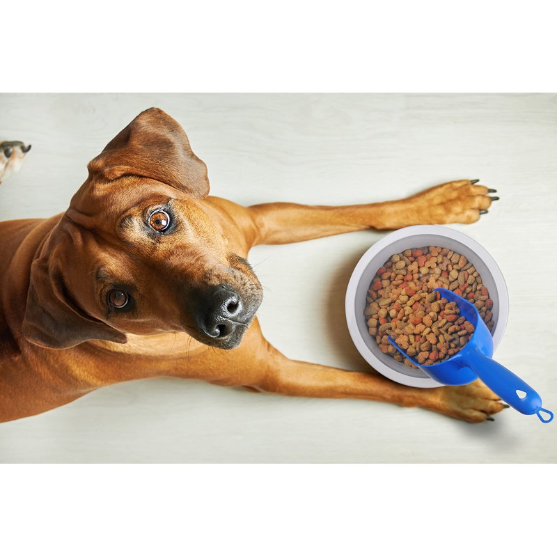 Van Ness 2 Cup Capacity Pet Food Scoop (Single)