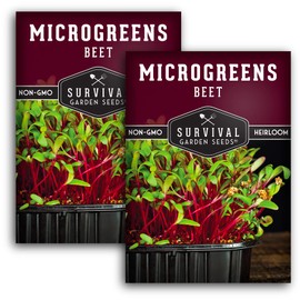 2 Packs Beet Microgreens Seeds for Sprouting and Growing - Sprout Green Leafy Micro Vegetable Plants Indoors - Grow Your Own Mini Windowsill Garden - Non-GMO Heirloom - Survival Garden Seeds