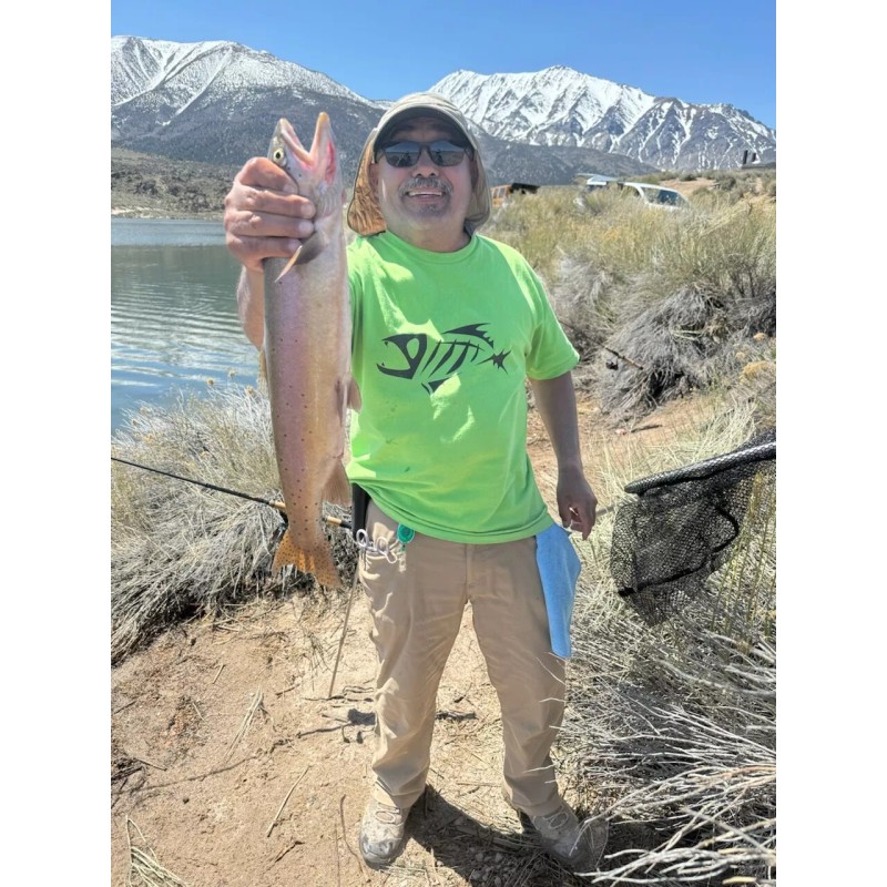 Unbranded Midges Tan Silver Whiskers #20,18, (Per Dozn(These Are The