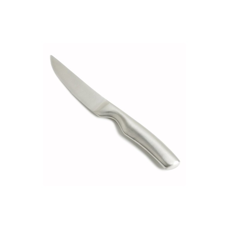 Fortessa Prime Cut Steak Knife with Stainless Steel Handle, 9.5-Inch,