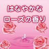 水性キンチョウリキッド コード式 蚊取り器 60日 セット ローズの香り (器具1コ 60日液1本)