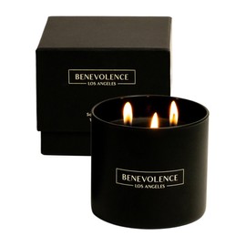 Benevolence LA 3 Wick Candles | Charcoal Scented Large Candle | 14.5 Oz Spring Scented Candles for Men | Natural Candles for Women | 45 Hour Burn Aromatherapy Long Lasting Candles, Bathroom Candle
