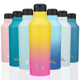 Insulated Water Bottle with Straw,25 OZ Double Wall Vacuum Stainless Steel Water Flask with 2 Lids,Rainbowl