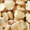 Hickory King White Corn Seeds - 25 LB Bulk ~21,250