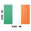 20 X Ireland Irish St Patricks Flag Stickers - Rectangle
