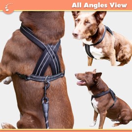 Zenify Pets Dog Harness Lead Set - Chest Vest Cross Adjustable Reflective for Puppy Small Dogs (Black 5ft Small)…