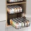 BOIVSHI 2-Tier Spice Rack Organizer, Pull Out Spice Rack for
