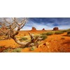 MIRRORANG 91 x 41 cm Reptile Habitat Background Orange Desert