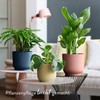 elho Vibes Fold Round with Self-Watering System - Flower Pot