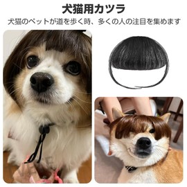 TVETE Pet Wig, Cat Bangs, Funny, Disguise Goods, Pet Clothes, Birthday, Party, Costume Goods, Wig, Easy to Put on and Take Off, Transformation, Photo Tool