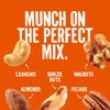 Emerald Salted Deluxe Mixed Nuts (1-Pack) | 36oz Resealable Bulk