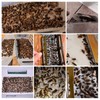 60 Pack Roach Traps,Roach Killer Indoor Infestation,Cockroach Killer Indoor Home,Glue