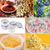 Jinsion Set of 4 PP5 Food Storage Containers with Lid,