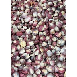 Bulkbuyz1 Purple Hominy Corn- Maiz para Pozole Morado Bulk No Chemicals 1 Lb