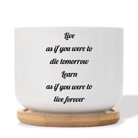DecStic Live As If You were to Die Tomorrow As If You were to Live Forever Ceramic Planters Bible Verse Planters for Plants with Drainage Holes and Saucers Pot for Indoor Garden