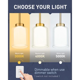 kudos Pendant Light Fixtures,Gold Pendant Light,Modern Led Pendant Light with Clear Glass and Milk Glass,Hanging Pendant Light for Kitchen Island,Dining Room,3000K/4000K/5000K Adjustable,KDPL06-GD