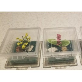 2 Mini enclosure for spider ,baby praying mantis or insect pet