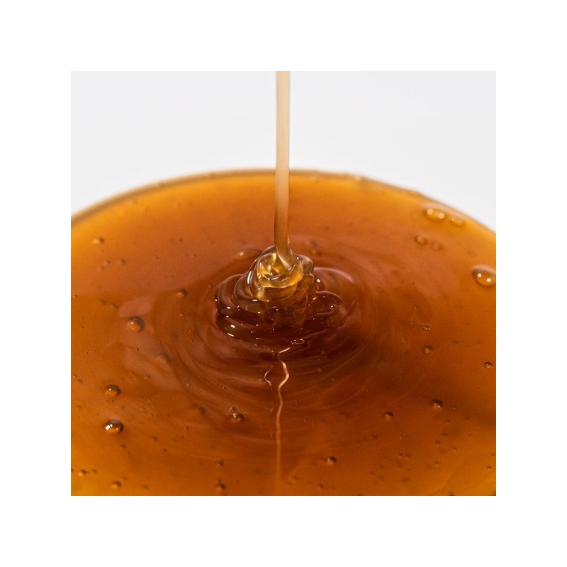 Ryeo 려 진결모 탈모증상케어 샴푸 두피모근케어 490ml Ryu Jinkyulmo Hair