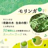 【鹿児島県産】 モリンガ 100% 国産 無添加 (粉末 80g) モリンガ パウダー 【化学合成農薬・化学肥料不使用】【ターボドライ製法】