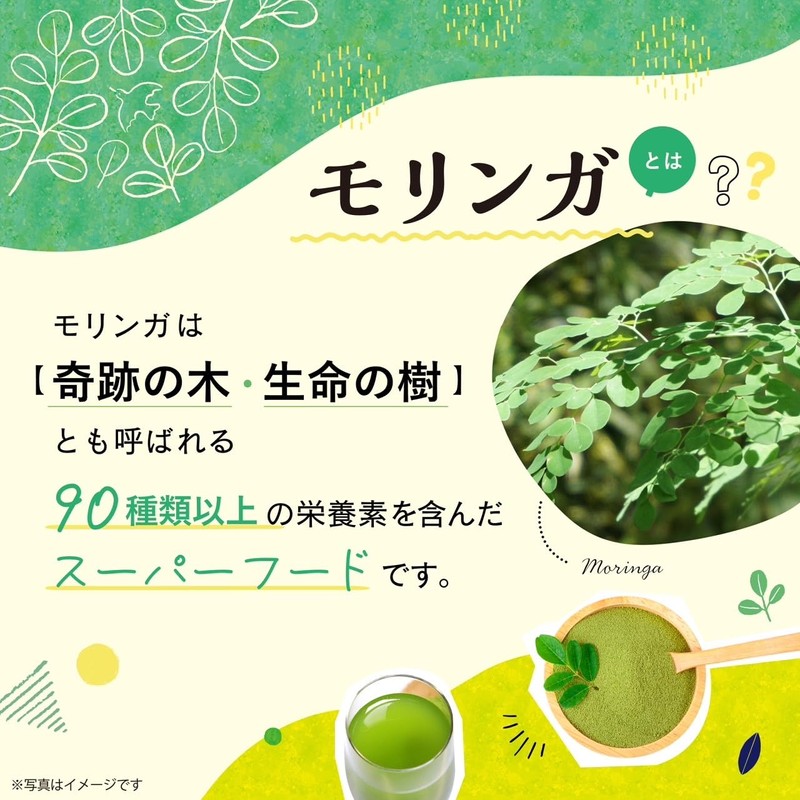 【鹿児島県産】 モリンガ 100% 国産 無添加 (粉末 80g) モリンガ パウダー 【化学合成農薬・化学肥料不使用】【ターボドライ製法】