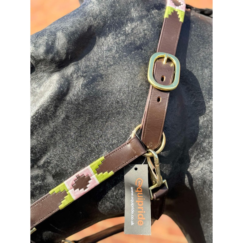 Argentina Polo Leather Horse Headcollar Halter, Embroidered, Rose Pink /Green