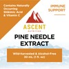 Ascent Nutrition Pine Needle Extract | Contains Naturally Occurring Shikimic