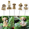 Yoga Dog Figurine Set Dog Doing Yoga Statue Miniature Garden