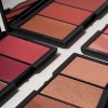 Rubor Trio Adara Paris Profesional Tono Del Maquillaje 04 Fressia