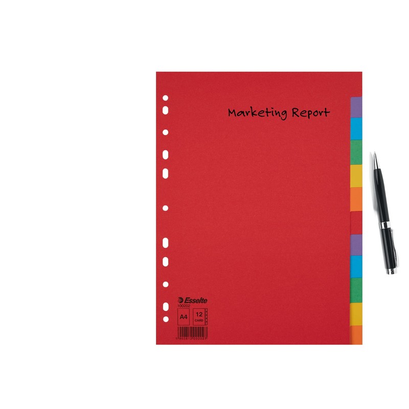 Esselte Leitz Register Karton A4 Multi-Colour 12 tabs multicoloured