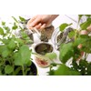 Health Embassy Stinging Nettle Leaf | Urtica Dioica L |