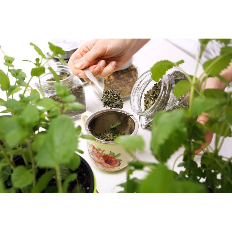Health Embassy Stinging Nettle Leaf | Urtica Dioica L |