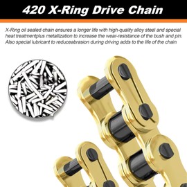 420 Chain X-Ring with Connecting Master Link, Gold(102 106 110 120 124 130 132) Links (120 Link)