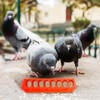 OUYOLAD 4 Plastic Flip Top Bird Small Poultry Feeder for