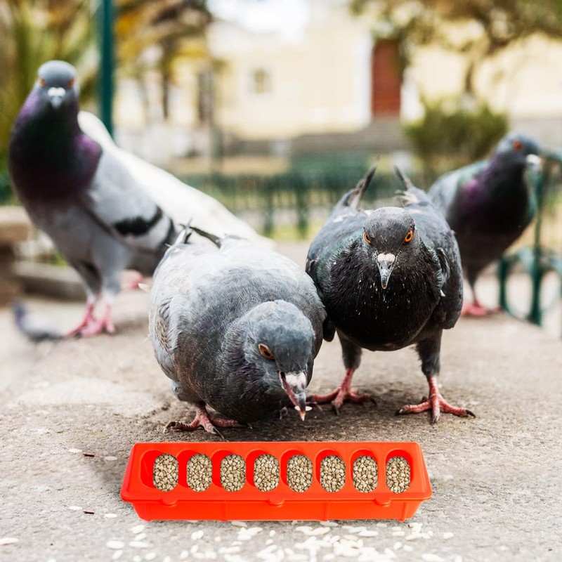 OUYOLAD 4 Plastic Flip Top Bird Small Poultry Feeder for