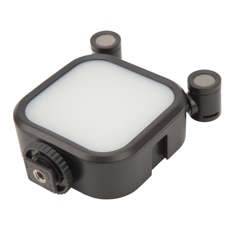 Stereo Microphone Light 10 Levels Brightness Dual Mic Fill Lamp