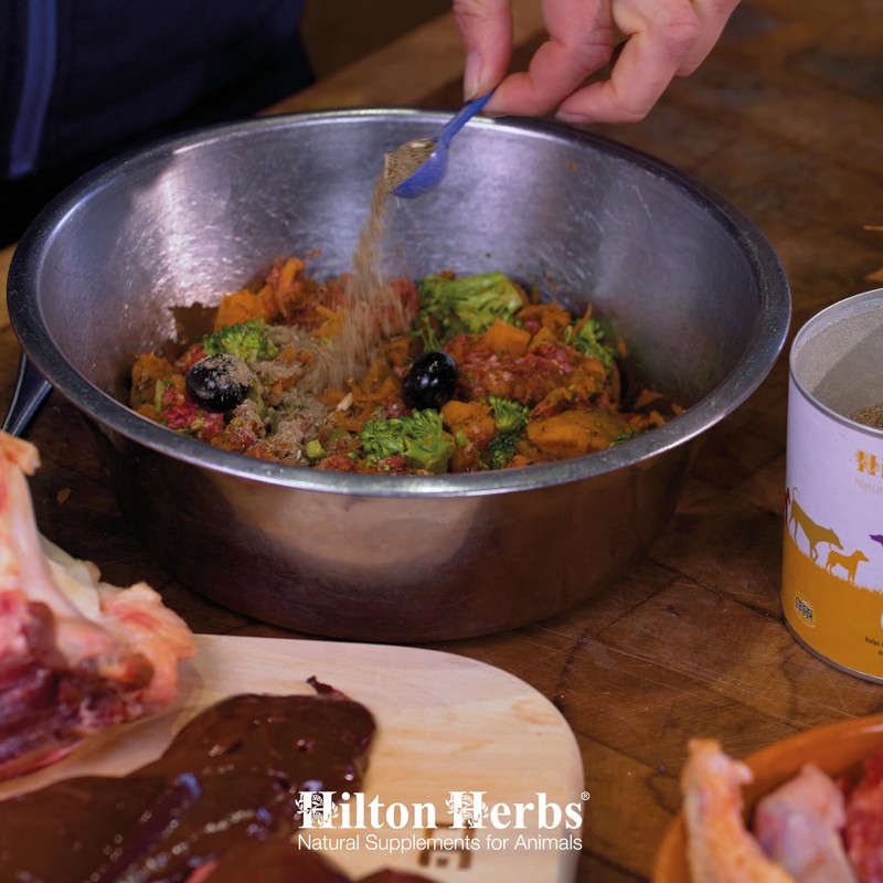 Hilton Herbs Immune Support Natural Dog Supplement. 100% Natural Ingredients.