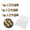 Cabilock Pack of 12 24 Egg Boxes Quail Eggs Transparent