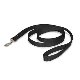 PetSafe Nylon Dog Leash - Strong, Durable, Traditional Style Leash with Easy to Use Bolt Snap - Available in Multiple Widths and Colors