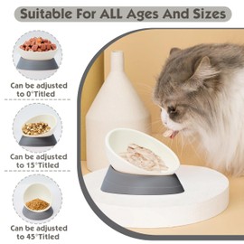 French Bulldog Food Bowl- Slanted Tilted Pug Food Water Bowl,Cat Bowl- Feeder for Frenchie/Shih Tzu/Flat Faced Small Dogs/Puppies/Cats (Grey, 2 Cup)