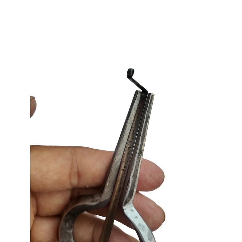 BHAVICREATION Morchang - C2 Tone Rajasthani Mouth Harp (Jaw Harp)