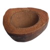 Natunae - Natural Coconut Bowl for Reptiles, Terrarium Accessory, Food