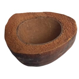 Natunae - Natural Coconut Bowl for Reptiles, Terrarium Accessory, Food and Water Container