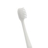 Commercial Disposable Toothbrushes (No Toothpaste) Pack of 20 | Oral Hygiene Cleaning Industrial Toothbrushes