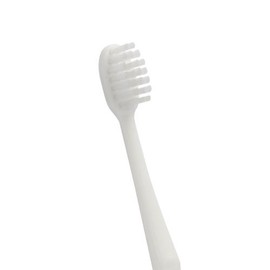 Commercial Disposable Toothbrushes (No Toothpaste) Pack of 20 | Oral Hygiene Cleaning Industrial Toothbrushes