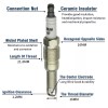 CNPAPC 8Pack Ignition Coils and PLATINUM Spark Plugs For Ford
