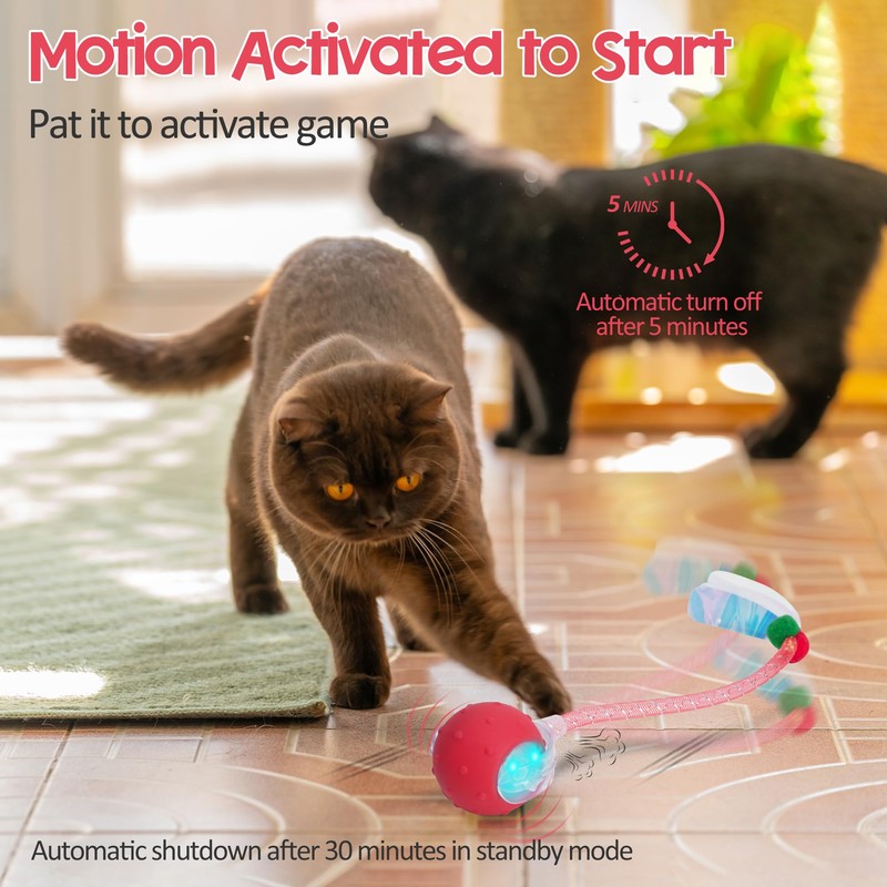 PLITTPETTS Interactive Cat Toys Ball for Indoor Cats, Automatic Moving
