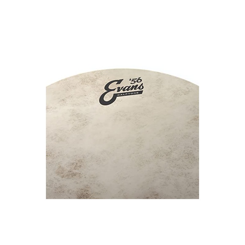 Evans Drumheads 13-Inch Calftone Tom (TT13C7)