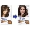 Nice N Easy 5A Natural Medium Ash Brown Hair Dye